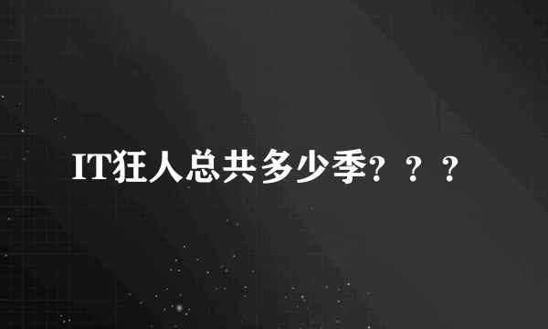 IT狂人总共多少季？？？