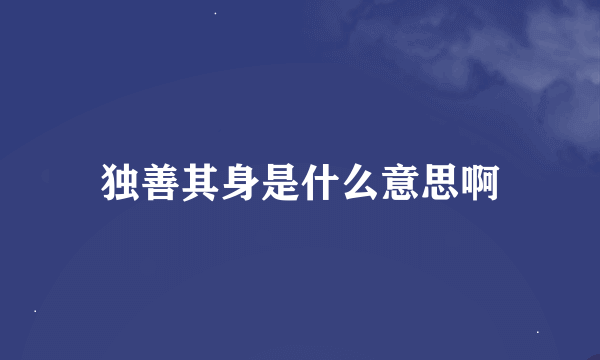 独善其身是什么意思啊