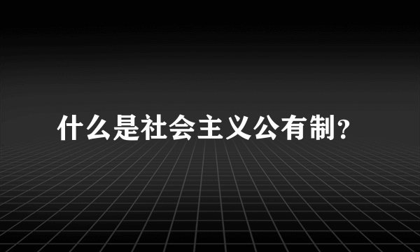 什么是社会主义公有制？