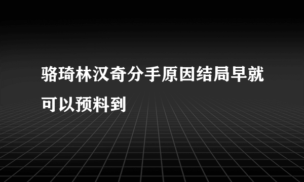 骆琦林汉奇分手原因结局早就可以预料到