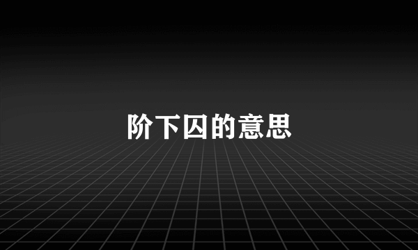 阶下囚的意思