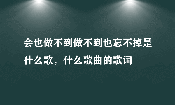 会也做不到做不到也忘不掉是什么歌，什么歌曲的歌词