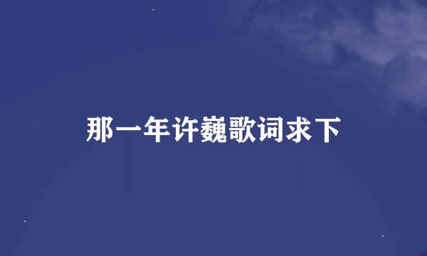 那一年许巍歌词求下