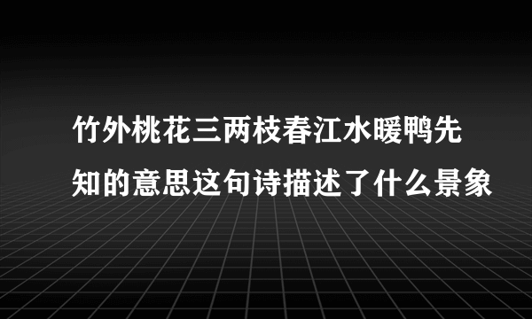 竹外桃花三两枝春江水暖鸭先知的意思这句诗描述了什么景象