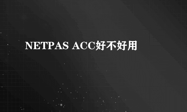 NETPAS ACC好不好用