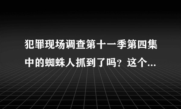 犯罪现场调查第十一季第四集中的蜘蛛人抓到了吗？这个案子这集里没破啊，第几集破的 ？看过的说下吧