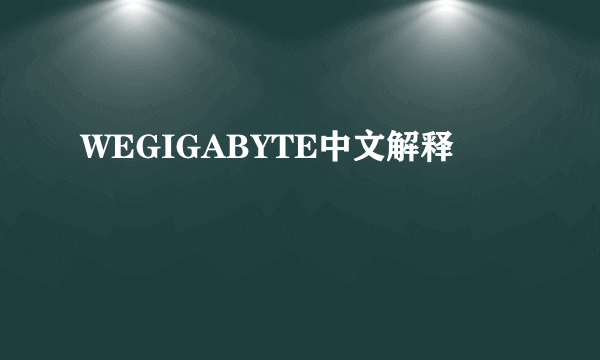 WEGIGABYTE中文解释