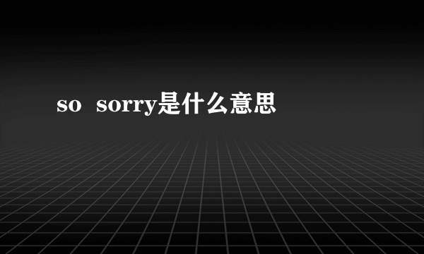 so  sorry是什么意思