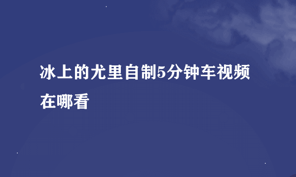 冰上的尤里自制5分钟车视频在哪看