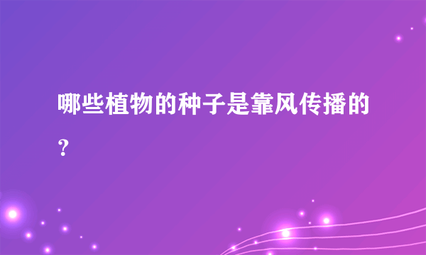 哪些植物的种子是靠风传播的？