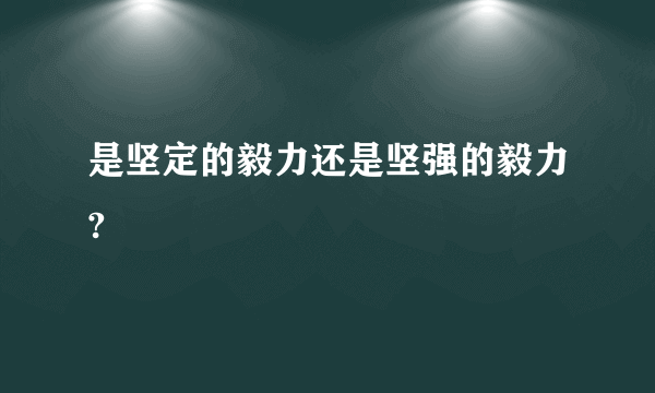 是坚定的毅力还是坚强的毅力?