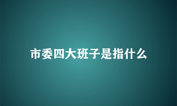 市委四大班子是指什么