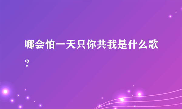 哪会怕一天只你共我是什么歌？