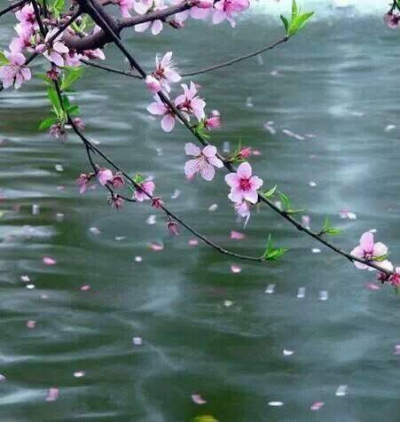 落花有意随流水,流水无情恋落花.是什么意思?