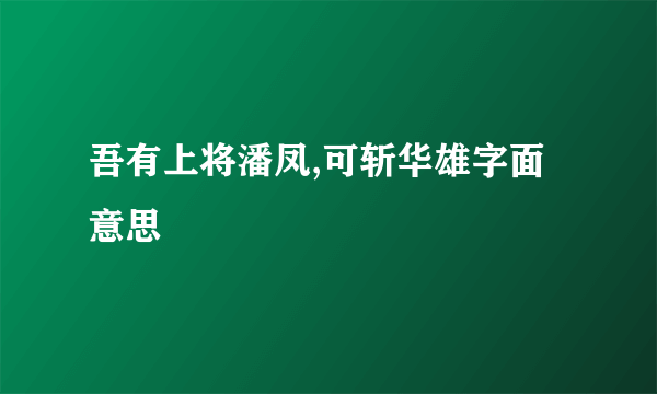 吾有上将潘凤,可斩华雄字面意思