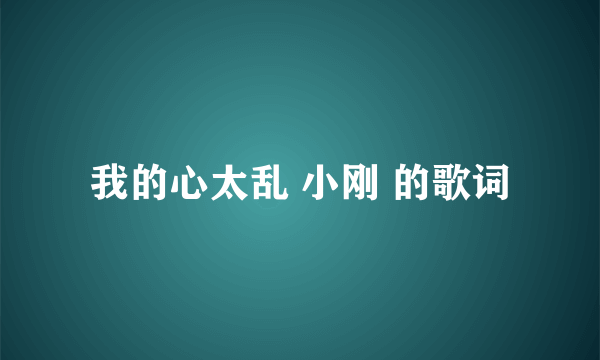 我的心太乱 小刚 的歌词