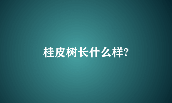 桂皮树长什么样?