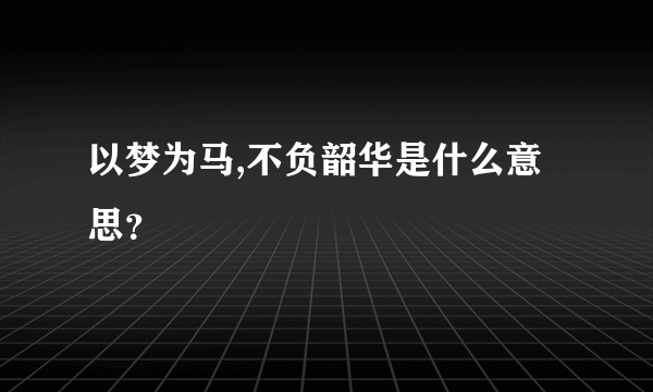 以梦为马,不负韶华是什么意思？