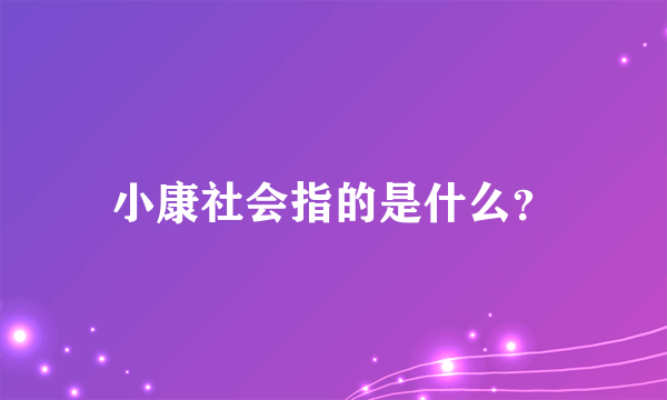 小康社会指的是什么？