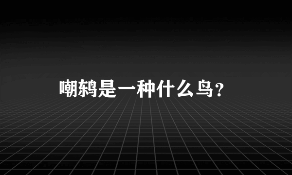 嘲鸫是一种什么鸟？