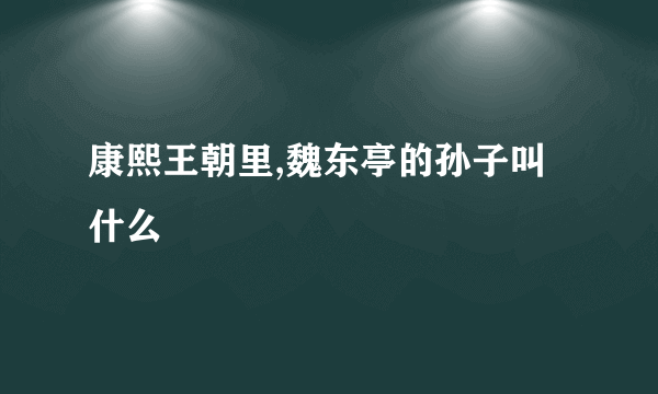 康熙王朝里,魏东亭的孙子叫什么