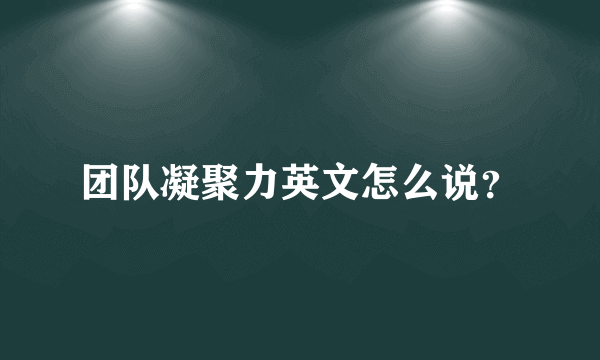 团队凝聚力英文怎么说？