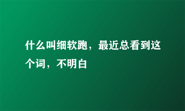 什么叫细软跑，最近总看到这个词，不明白