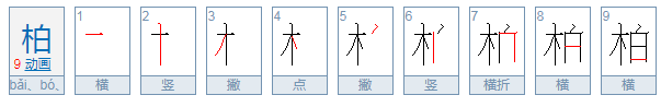 柏可以组什么词语