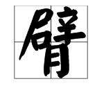 用“臂”的多音字组词