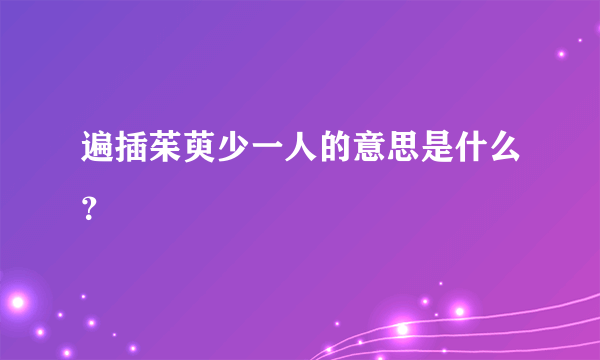 遍插茱萸少一人的意思是什么？