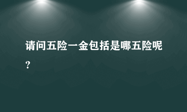 请问五险一金包括是哪五险呢？