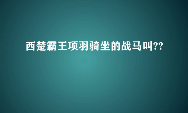 西楚霸王项羽骑坐的战马叫??