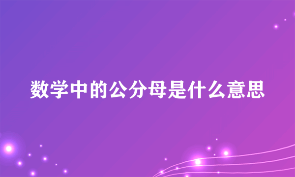 数学中的公分母是什么意思