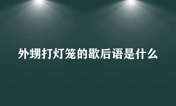 外甥打灯笼的歇后语是什么