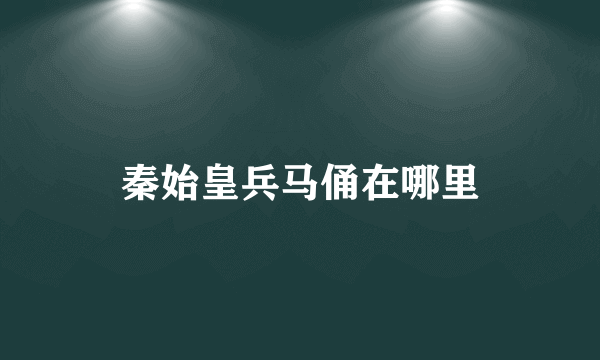 秦始皇兵马俑在哪里