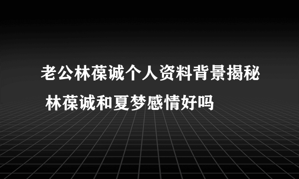 老公林葆诚个人资料背景揭秘 林葆诚和夏梦感情好吗