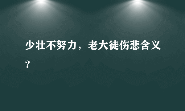 少壮不努力，老大徒伤悲含义？