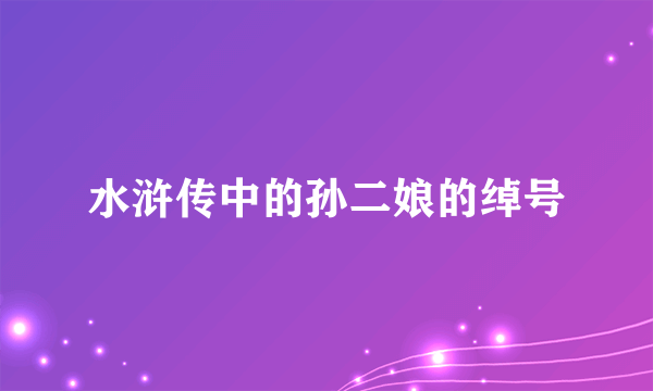 水浒传中的孙二娘的绰号