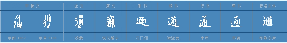 “通”的多音字组词