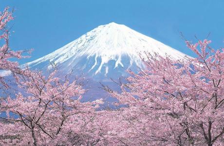 日本的富士山是睡眠火山还是死活山还是活火山？？