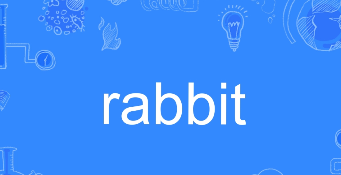 rabbit怎么读