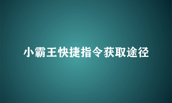 小霸王快捷指令获取途径