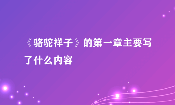 《骆驼祥子》的第一章主要写了什么内容