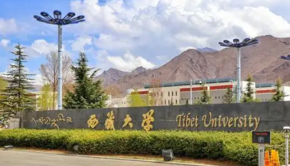 570分能上211大学吗