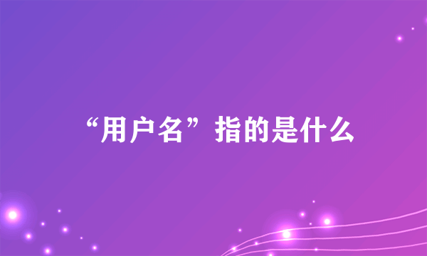 “用户名”指的是什么