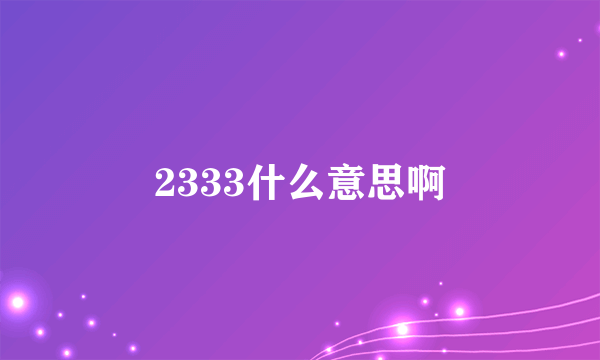 2333什么意思啊