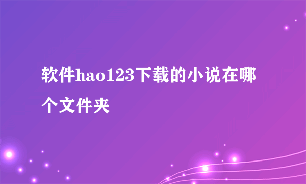 软件hao123下载的小说在哪个文件夹