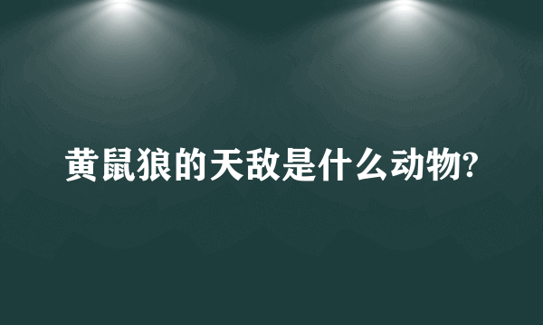 黄鼠狼的天敌是什么动物?