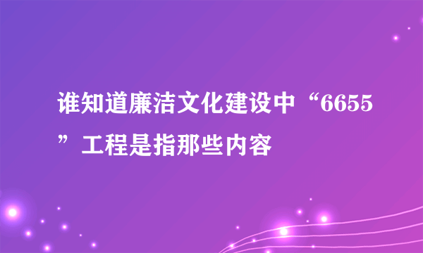 谁知道廉洁文化建设中“6655”工程是指那些内容