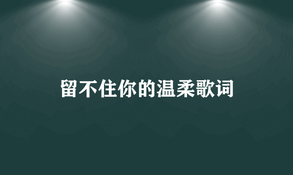 留不住你的温柔歌词